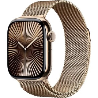 Смарт-годинник Apple Watch Series 10 GPS + Cellular 42mm Slate Titanium Case with Slate Link Bracelet (MX0M3LW+MXMD3AM)